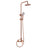 Seattle | Columna de ducha con grifo monomando | Rociador Redondo acero inox. S.304 Ø20 cm | Extraplano Antical
